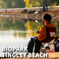 Tingley Beach Venue Square Tingley Beach Venue Square