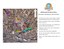 Route 66 2017 Summerfest car show map