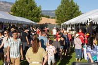 2025 Heights- 3 2025 Heights- 3