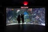 2025 FPN- 6 2025 FPN- 6