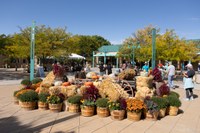 2025 Harvest- 3 2025 Harvest- 3