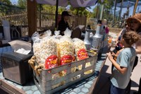 2025 MDZ-3 2025 MDZ-3