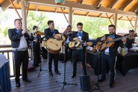 2025 MDZ-7 2025 MDZ-7