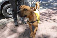 2025 MDOT-8 2025 MDOT-8