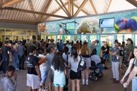 2025 MDZ-2 2025 MDZ-2