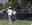 2024 Westside Summerfest- Photo 8