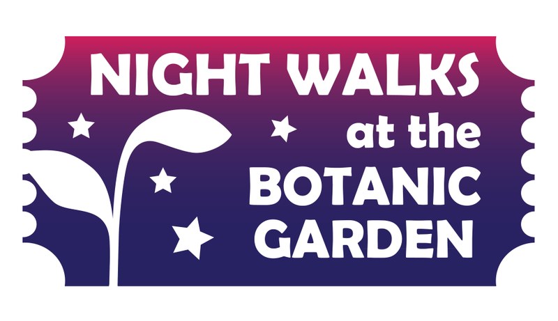 Night Walk at the Botanic Garden