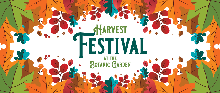 Harvest-Festival-FB-Cover