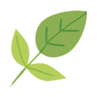 2026 BioPark Concerts Leaf