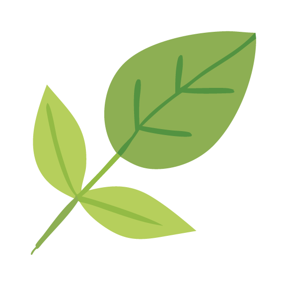 2026 BioPark Concerts Leaf