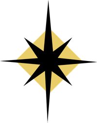 2023 TLP Solo Star Graphic 2023 TLP Solo Star Graphic