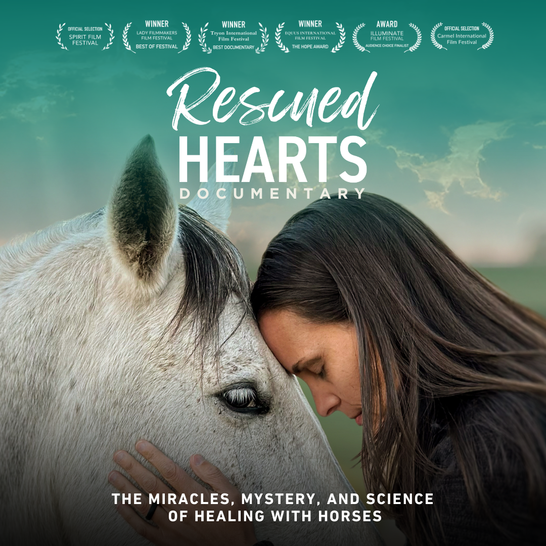 2025 SBCC- Rescued hearts