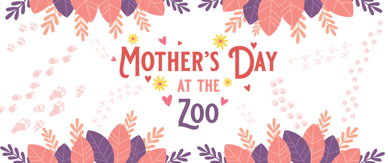 Mother-Day-at-the-Zoo-Cover Photo
