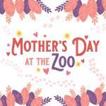 Mother-Day-at-the-Zoo-SQUARE-LOGO-150x150
