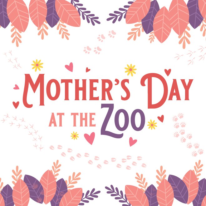 Mother-Day-at-the-Zoo-SQUARE-LOGO-660x660