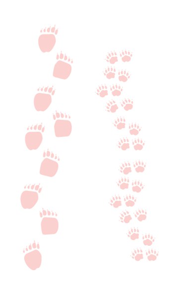 Mothers-Day-at-the-Zoo-Animal Tracks - Bear Paws