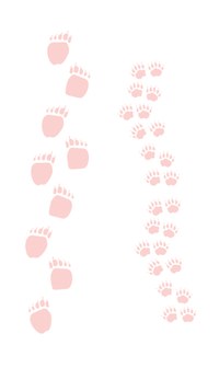 Mothers-Day-at-the-Zoo-Animal Tracks - Bear Paws Mothers-Day-at-the-Zoo-Animal Tracks - Bear Paws