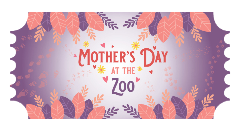 Mothers-Day-at-the-Zoo-Ticket