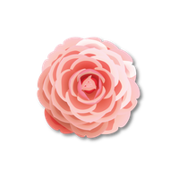 Mothers-Day-Flower Mothers-Day-Flower