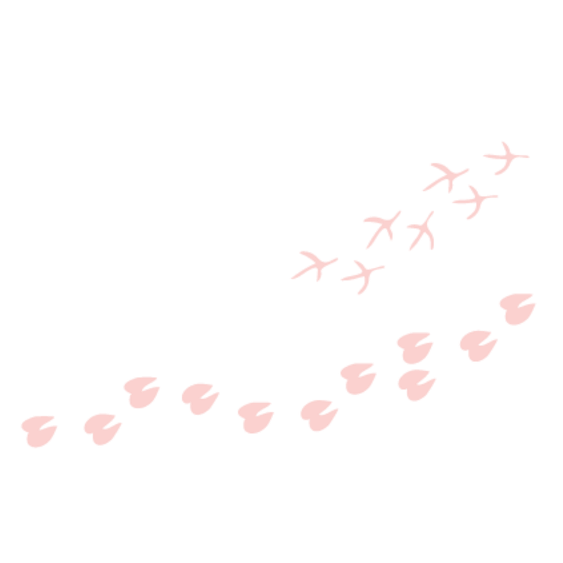 Mother's Day at the Zoo Animal Prints