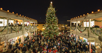 Old Town Holiday Stroll Old Town Holiday Stroll