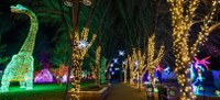 River of Lights Path River of Lights Path