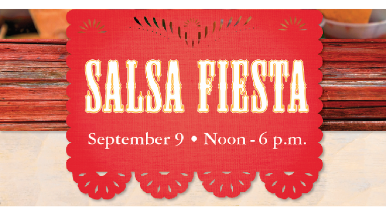 2017 Salsa Fiesta Banner