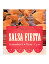 2017 Salsa Fiesta Banner