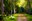 test 10MB file