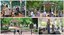 Summertime in OT Collage 2017