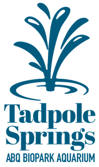 Tadpole Springs AQ