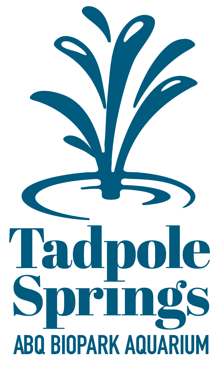 Tadpole Springs AQ