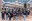 2023 Mayor’s Creative Youth Corps Announced