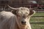 ABQ BioPark Reopens Enhanced Heritage Farm on Earth Day
