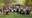 Celebrate Independence Weekend With the NM Philharmonic at the Botanic Garden