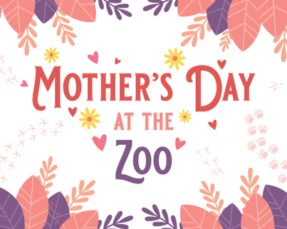 Enjoy a Day of Entertainment and Discovery During Mother’s Day at the Zoo Enjoy a Day of Entertainment and Discovery During Mother’s Day at the Zoo