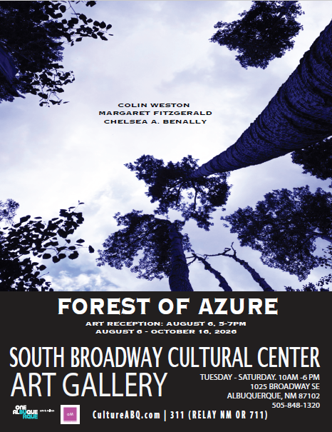 Forest of Azure Draws Visitors Into an Alluring World of Discovery