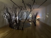 PASSAGE Opens at Gallery One