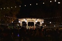 Step into the Magic of Old Town Holiday Stroll
