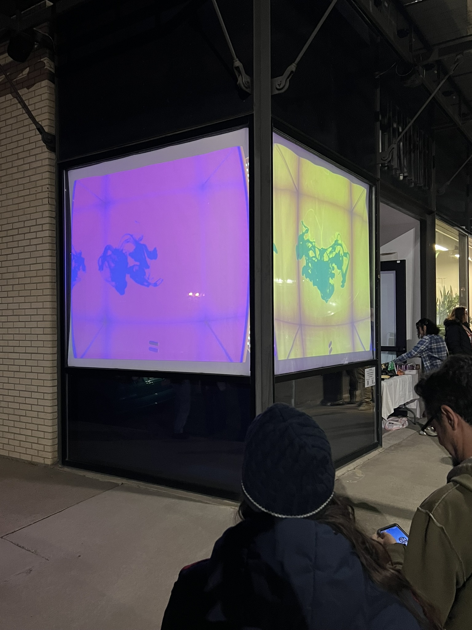 Chris Casey and Kasra Manavi "Dispersion Immersion"