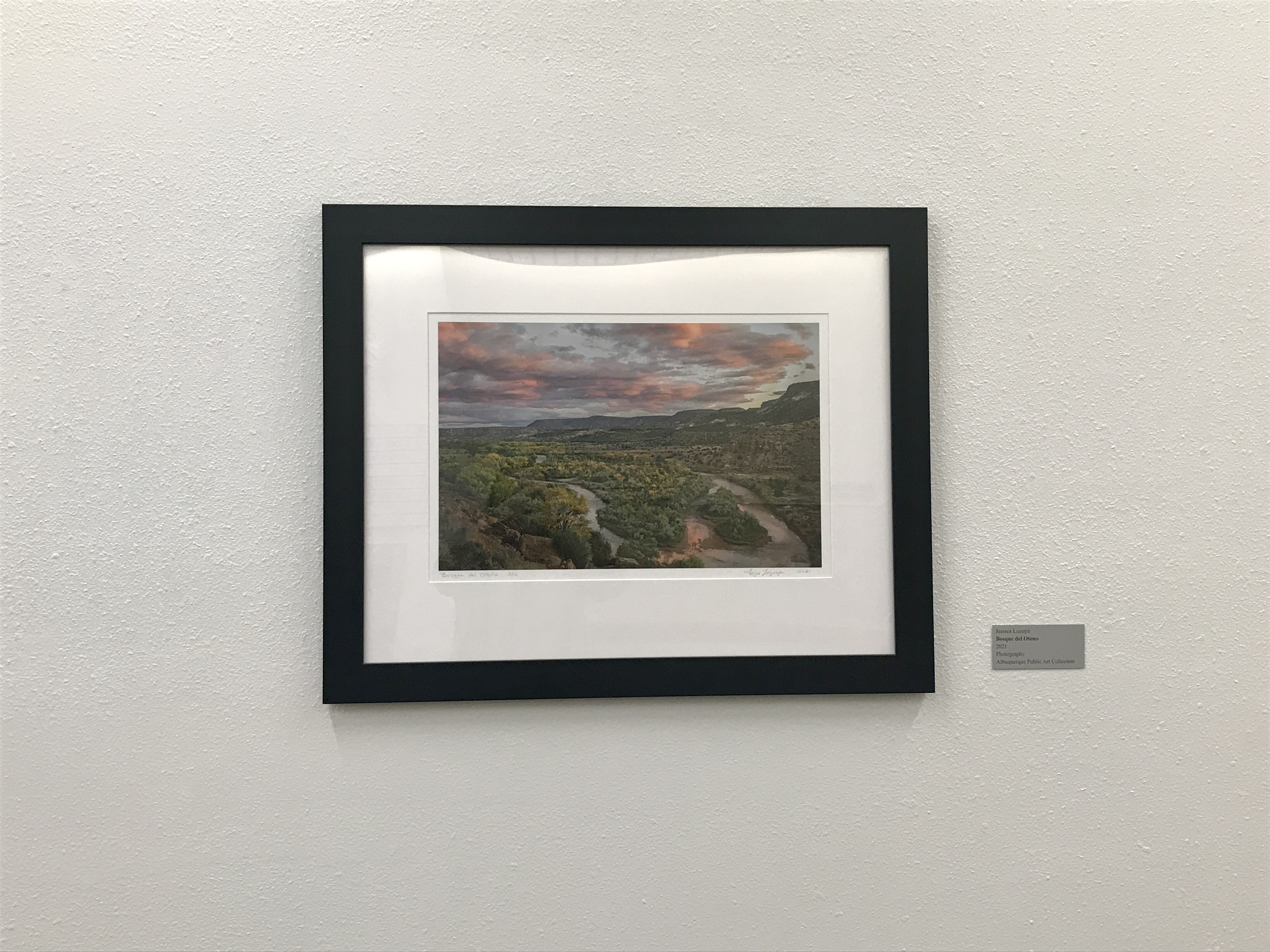 Jessica Lozoya, Bosque del Ontono, photograph