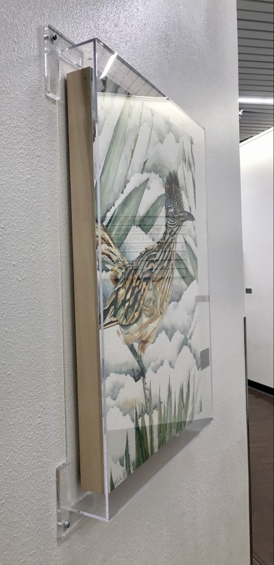 Profile view of a roadrunner painting, installed with a wall-mounted plexiglass case.
