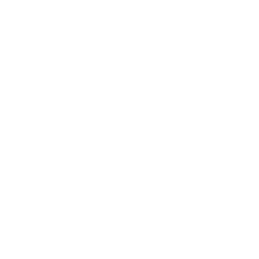 Acoustic Guitar Icon PNG