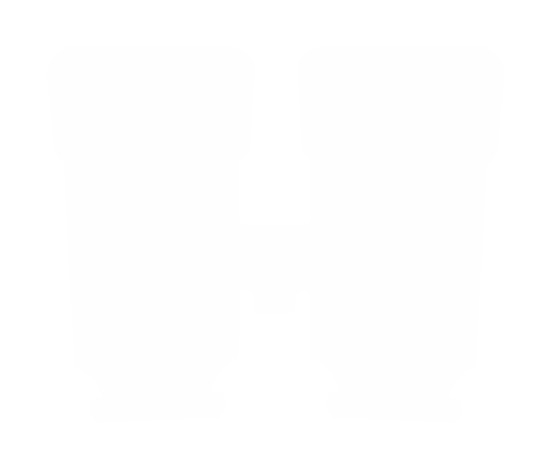 Binoculars Icon PNG