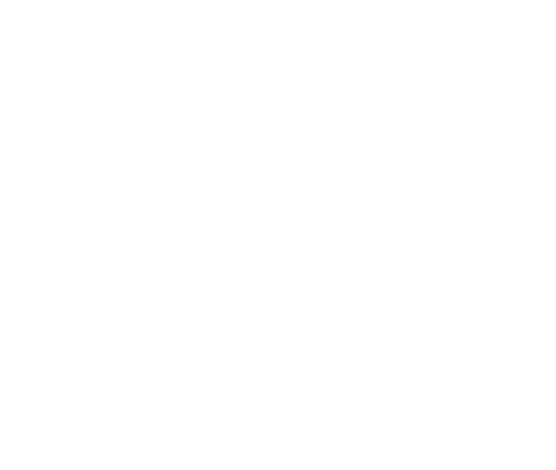 Life Preserver Icon PNG