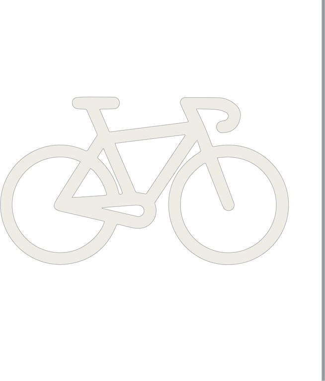 Bikes and Pedestrians Icon