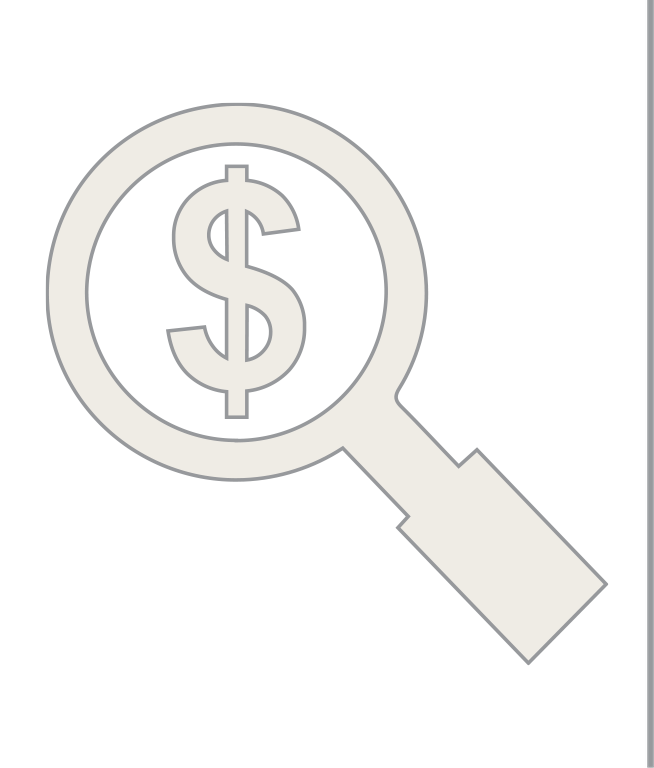 Magnifying Glass Dollar Sign Icon with Divider Line