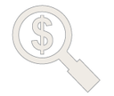 Magnifying Glass Dollar Sign Icon