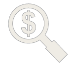 Magnifying Glass Dollar Sign Icon