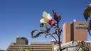 Flower in Downtown Albuquerque Section Block